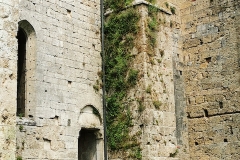 IMG_20210529_111324